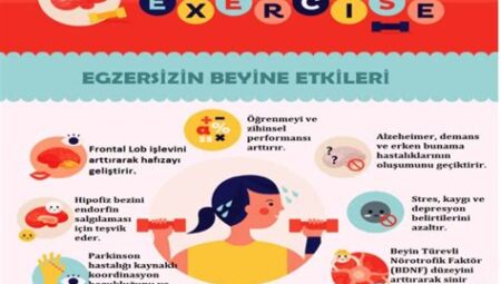 Spor ve Hafıza: Egzersizin Bellek Gücü Üzerindeki Olumlu Etkileri ve Yaşlılıkta Hafızayı Koruma Potansiyeli